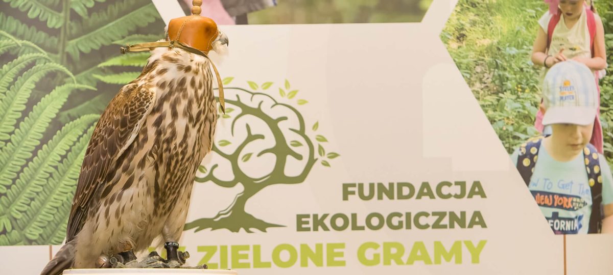 Fundacja w zielone gramy