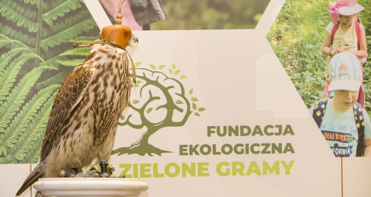 Fundacja w zielone gramy