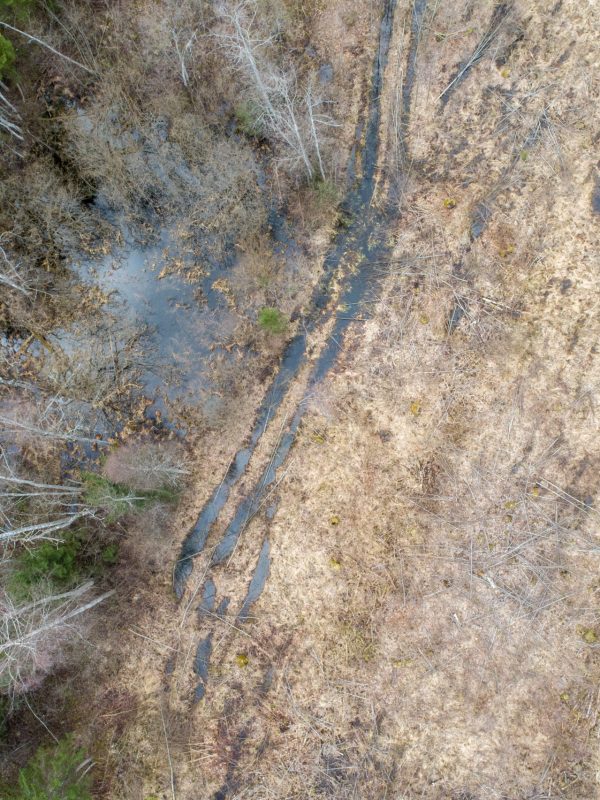 Co generuje ślad węglowy23