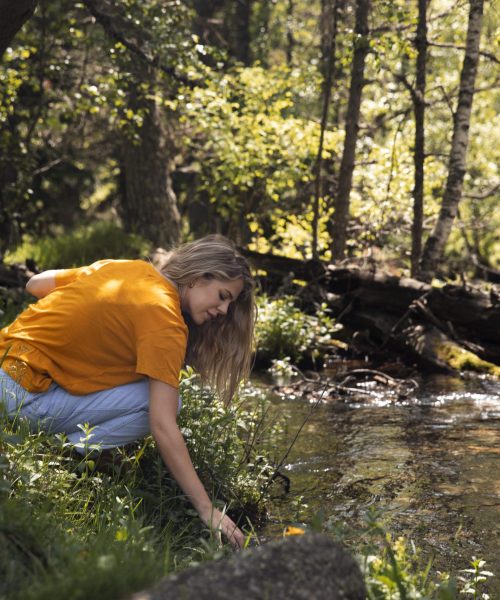 Kąpiele leśne (jap. shinrin-yoku) 23