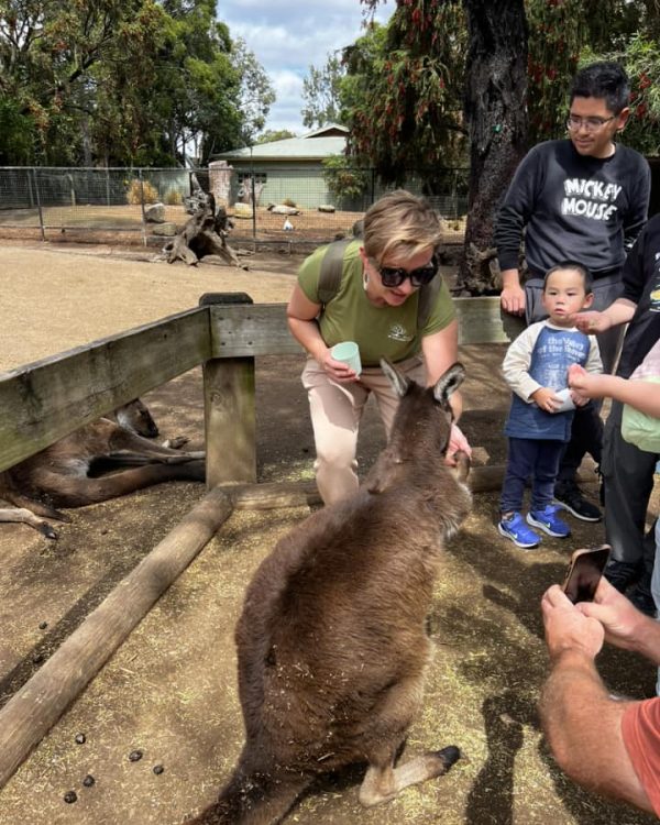 misja gposdarcza, Australia 3